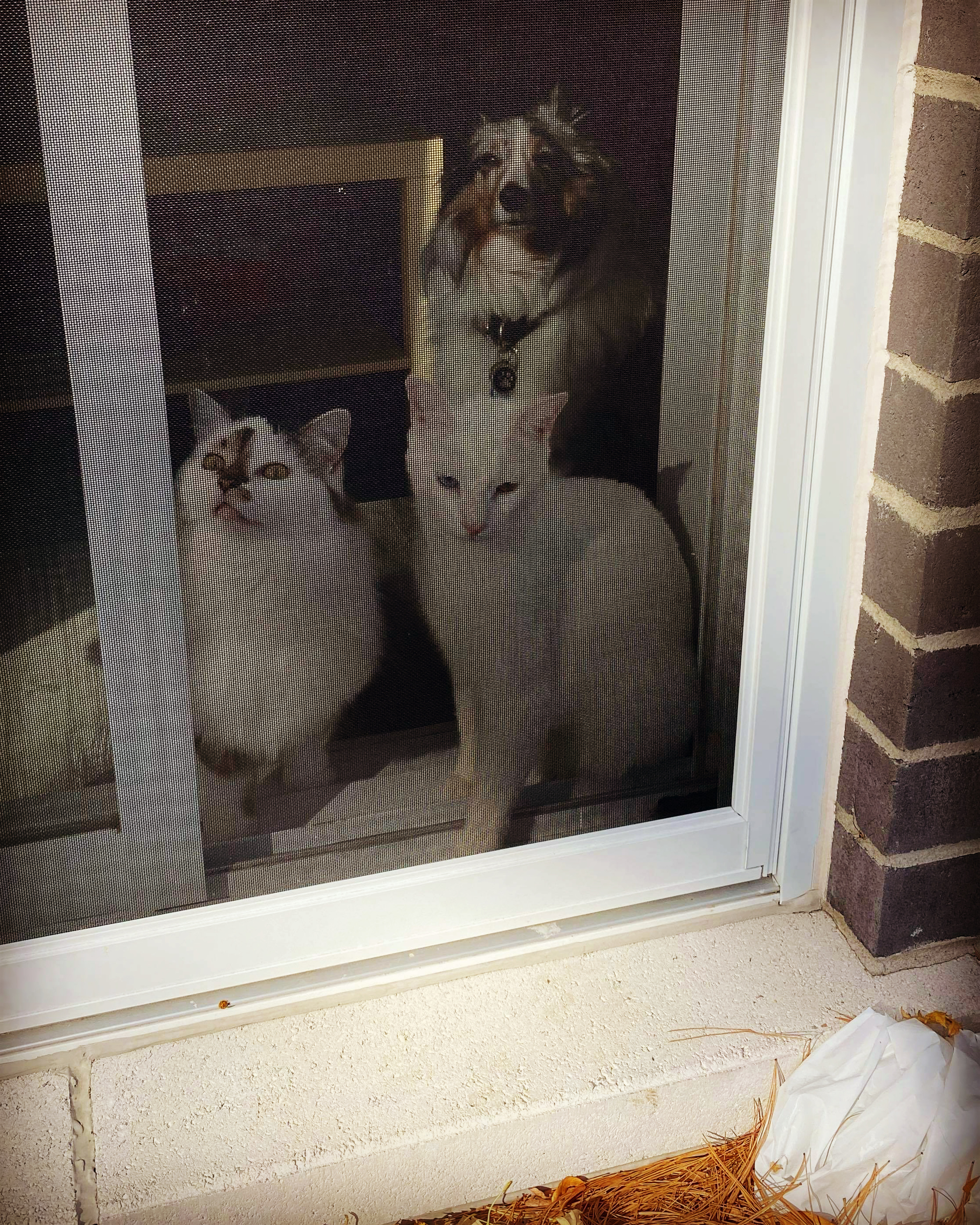 Mise à jour du jour