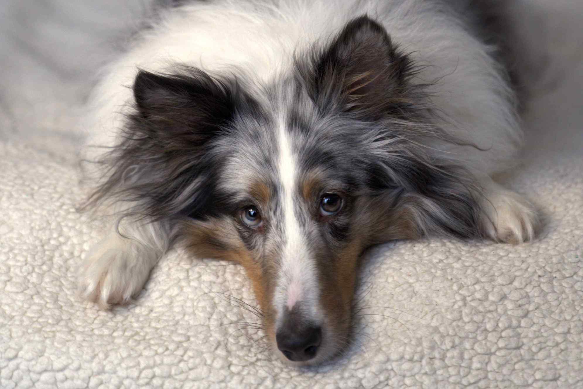 Vérification confort