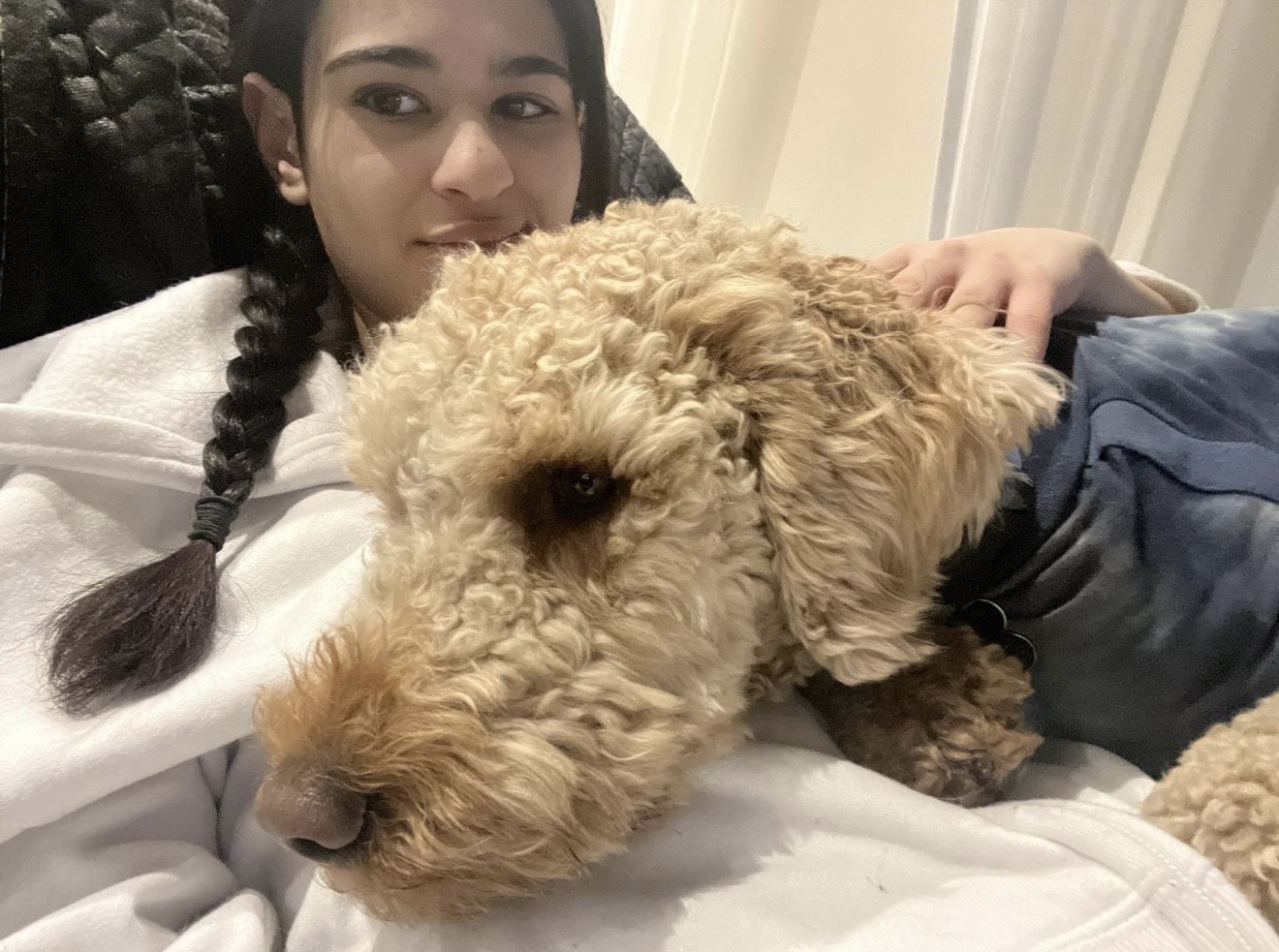 Pause câlin (Airedale)