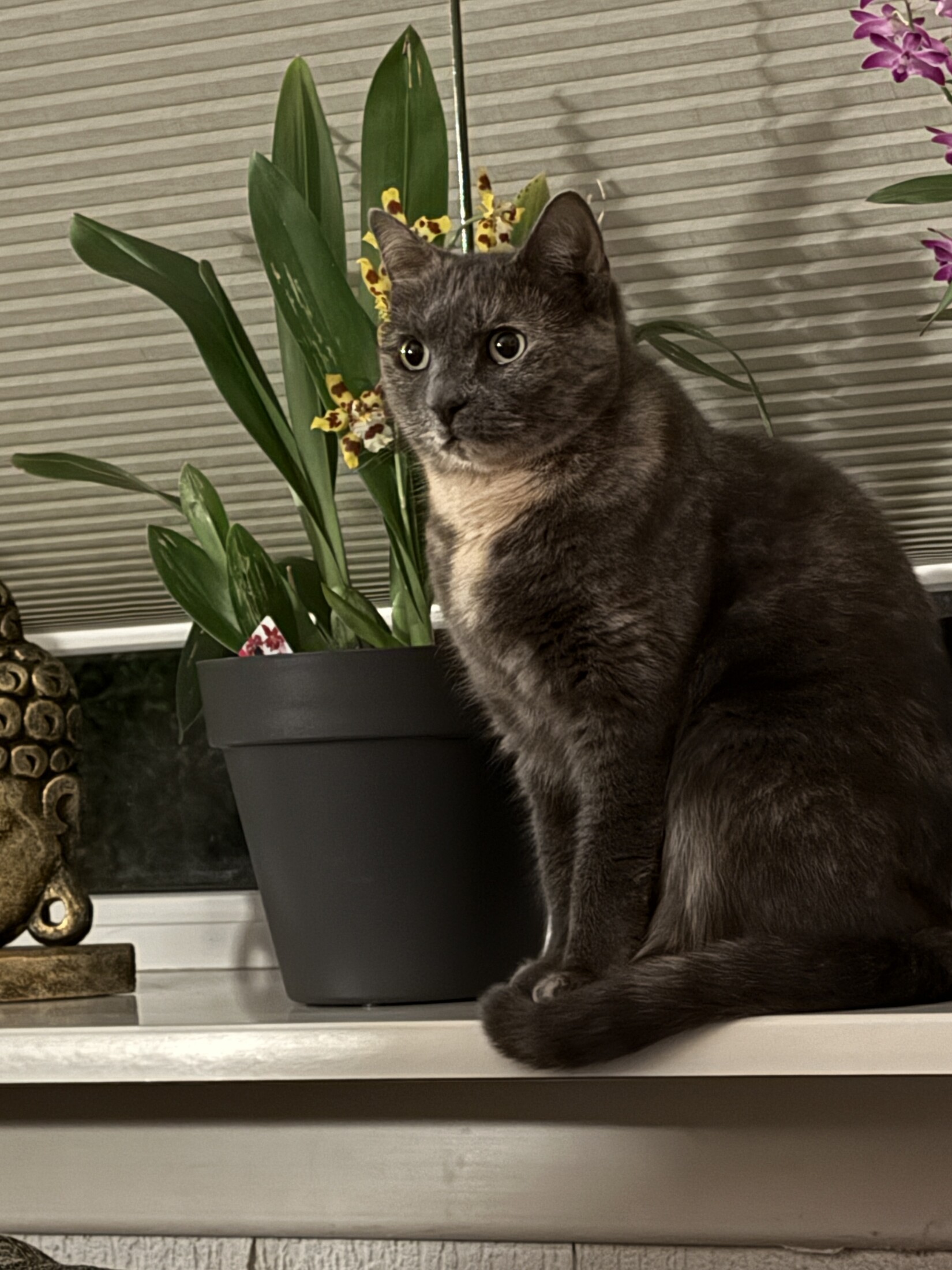 Moment calme à la fenêtre