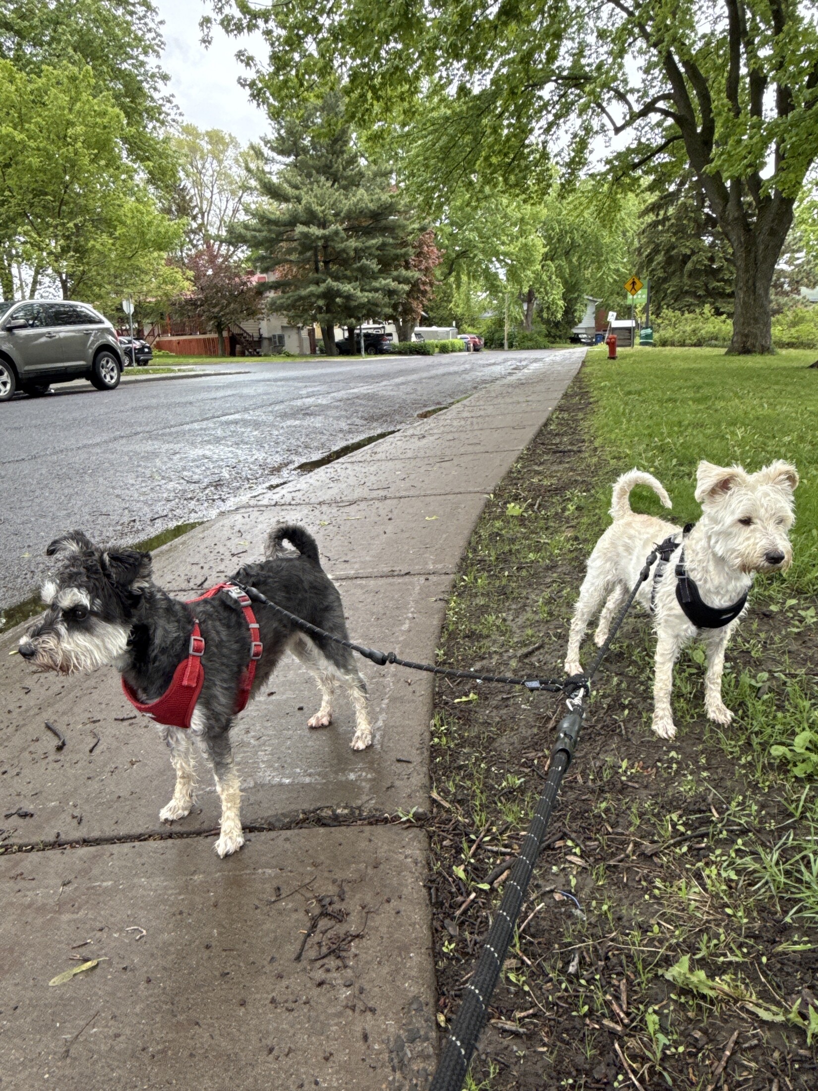 Promenade de quartier (petit groupe)