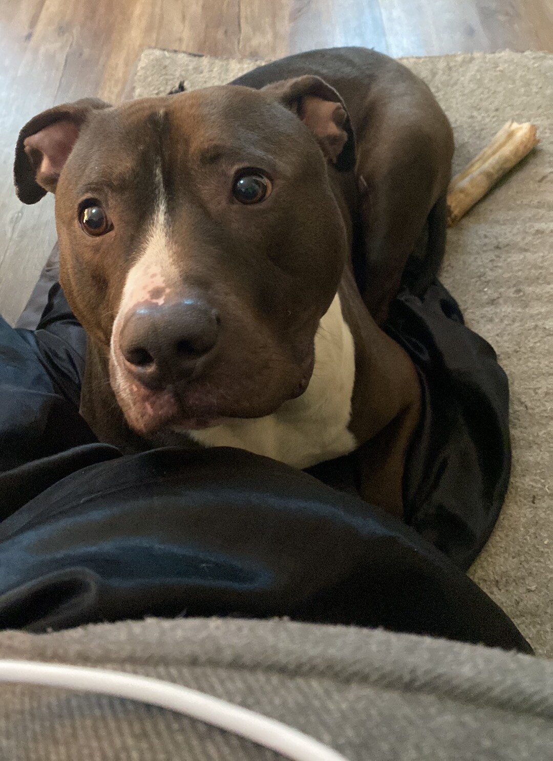 Vérification rapprochée