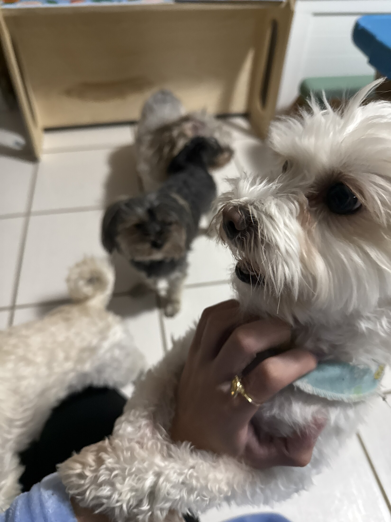 Confort petit format